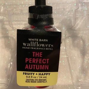 The Perfect Autumn